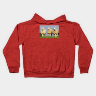 Clean Lleyn Sheep Kids Hoodie